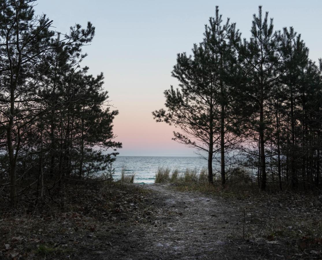 Safari Lodge Prora - Mit Sauna Und Direktem Strandzugang 宾茨 外观 照片